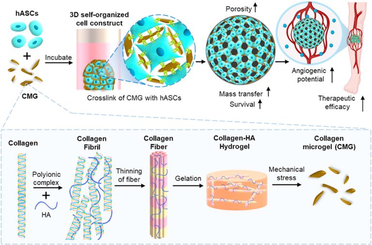 Publications - Bioimaging and Biophotonics Laboratory