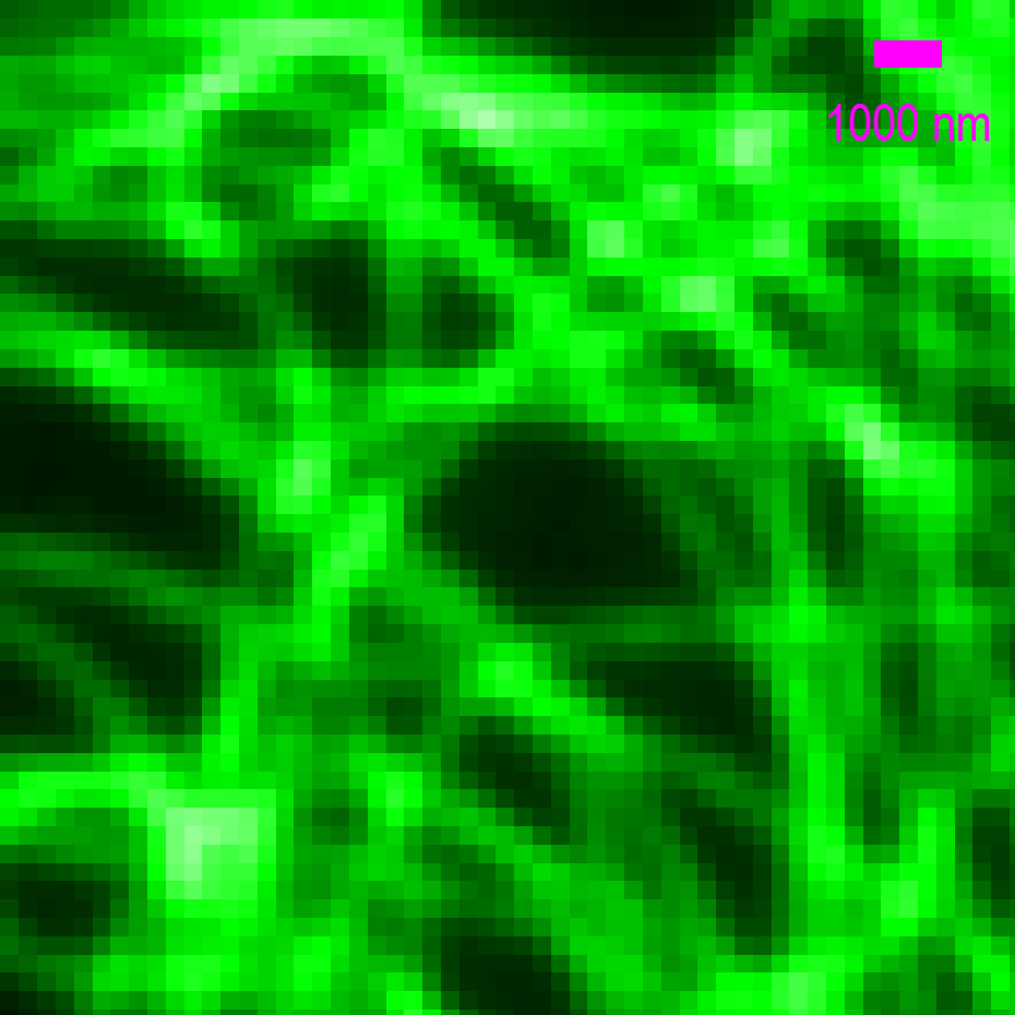 Tubulin_CF_Green