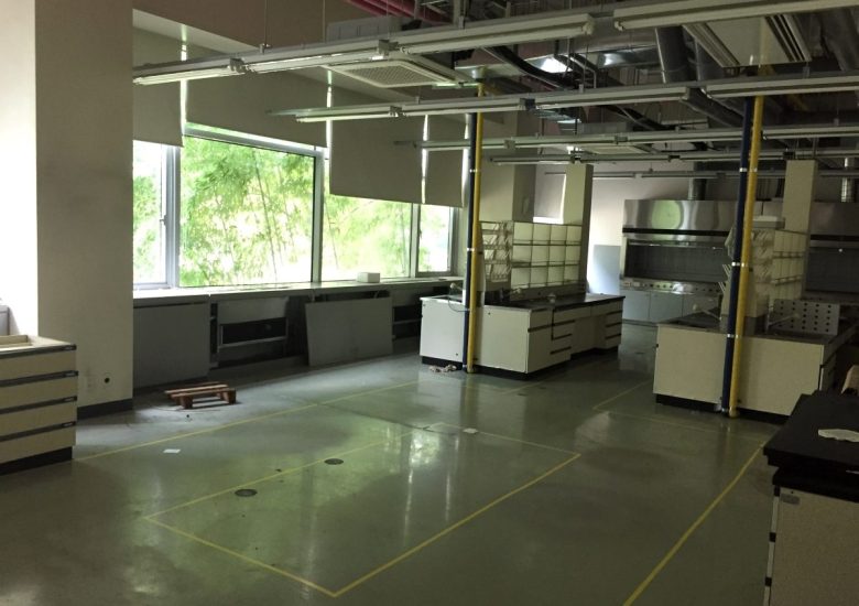 Our Lab's Beginnings