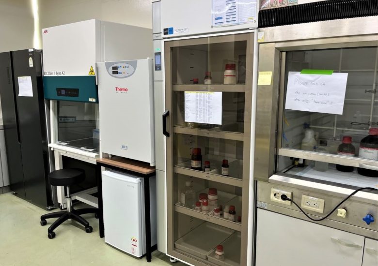 Cell Culture Setup Ready to Go